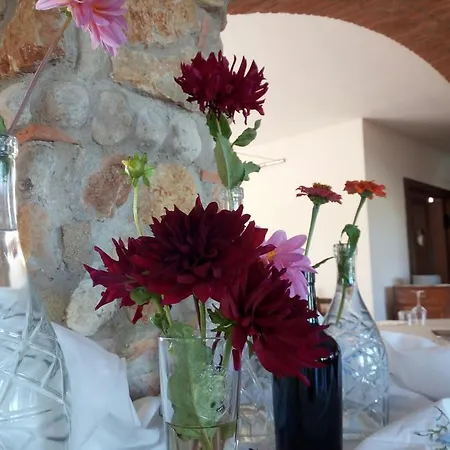 Loreto アルゲーロ